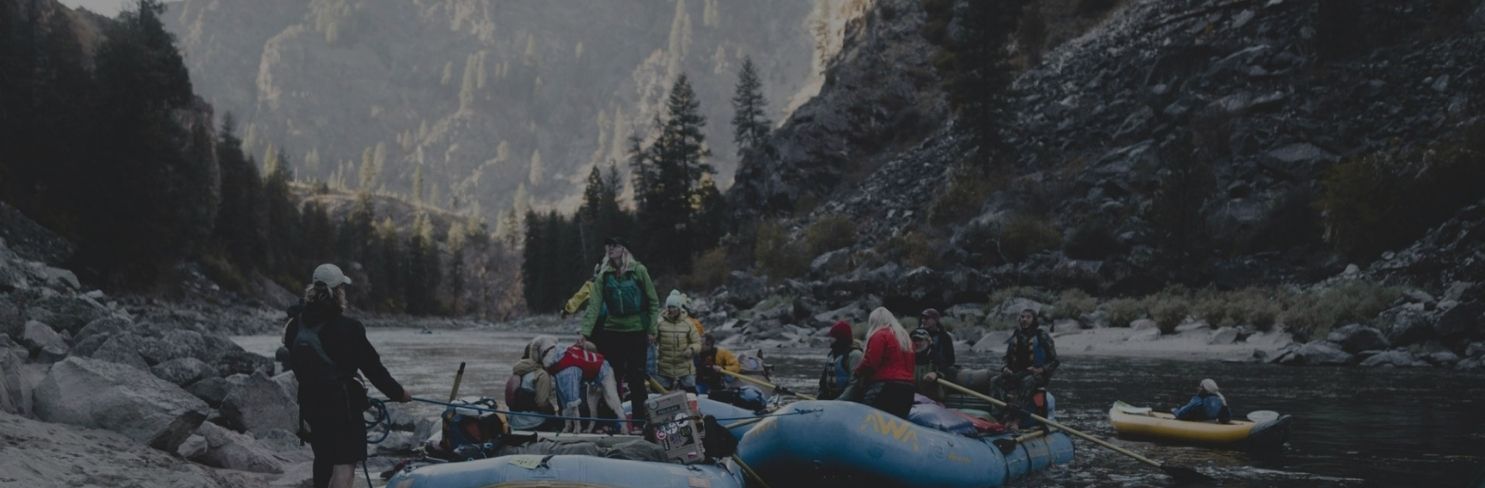 Gym training workout